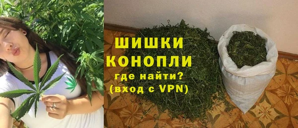 индика Навашино